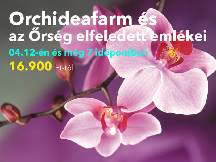 Orchideafarm és az Őrség elfeledett emlékei - 