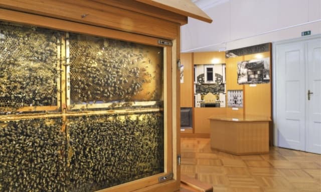 Méhészeti múzeum
