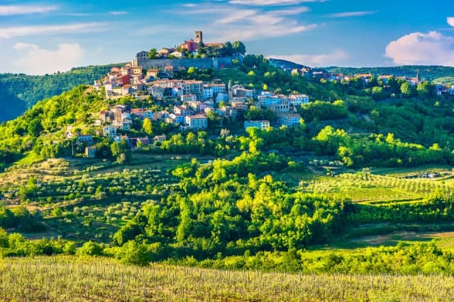 Motovun kisbusz
