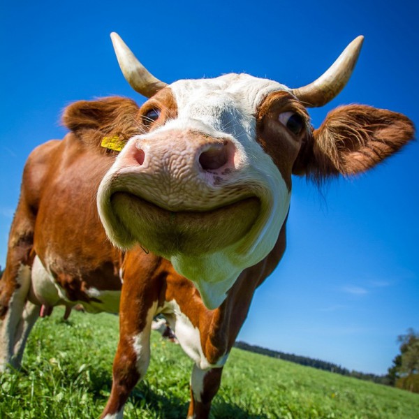 Kalandozás Tirol legszebb tájain 