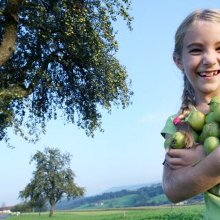 Őszi ízek a Mostviertelben - kép 2