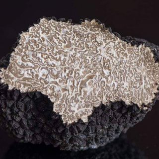 Ősz az Isztrián szarvasgomba vadászattal - kép 4