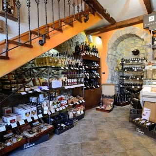 Ősz az Isztrián szarvasgomba vadászattal - kép 3