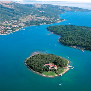 Olivaszüret a Krk-szigeten - kép 4