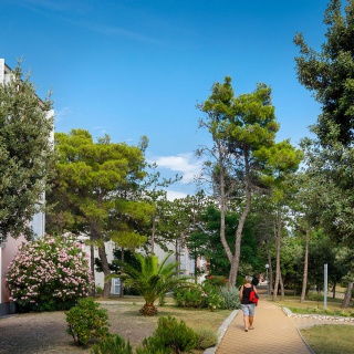 Rab szigeti kiruccanás - kép 13