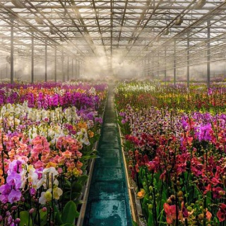 Orchideafarm és az Őrség elfeledett emlékei - kép 2