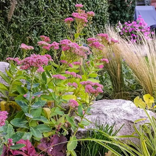 Ametiszt világ és Kittenberg élménykert - kép 7