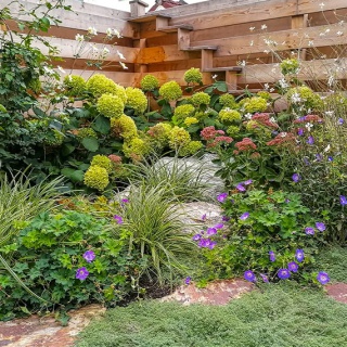 Ametiszt világ és Kittenberg élménykert - kép 11