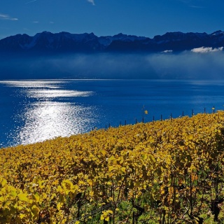 SVÁJC, kis ország nagy csodákkal - kép 4