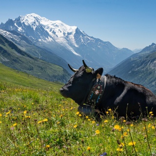 SVÁJC, kis ország nagy csodákkal - kép 3
