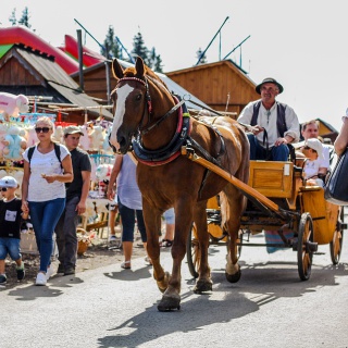 Lengyelország Kincsei - kép 21